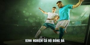 Kinh Nghiệm Cá Độ Bóng Đá - Bí Kíp Từ Chuyên Gia Tại QQ88 2 kinh nghiệm cá độ bóng đá qq88